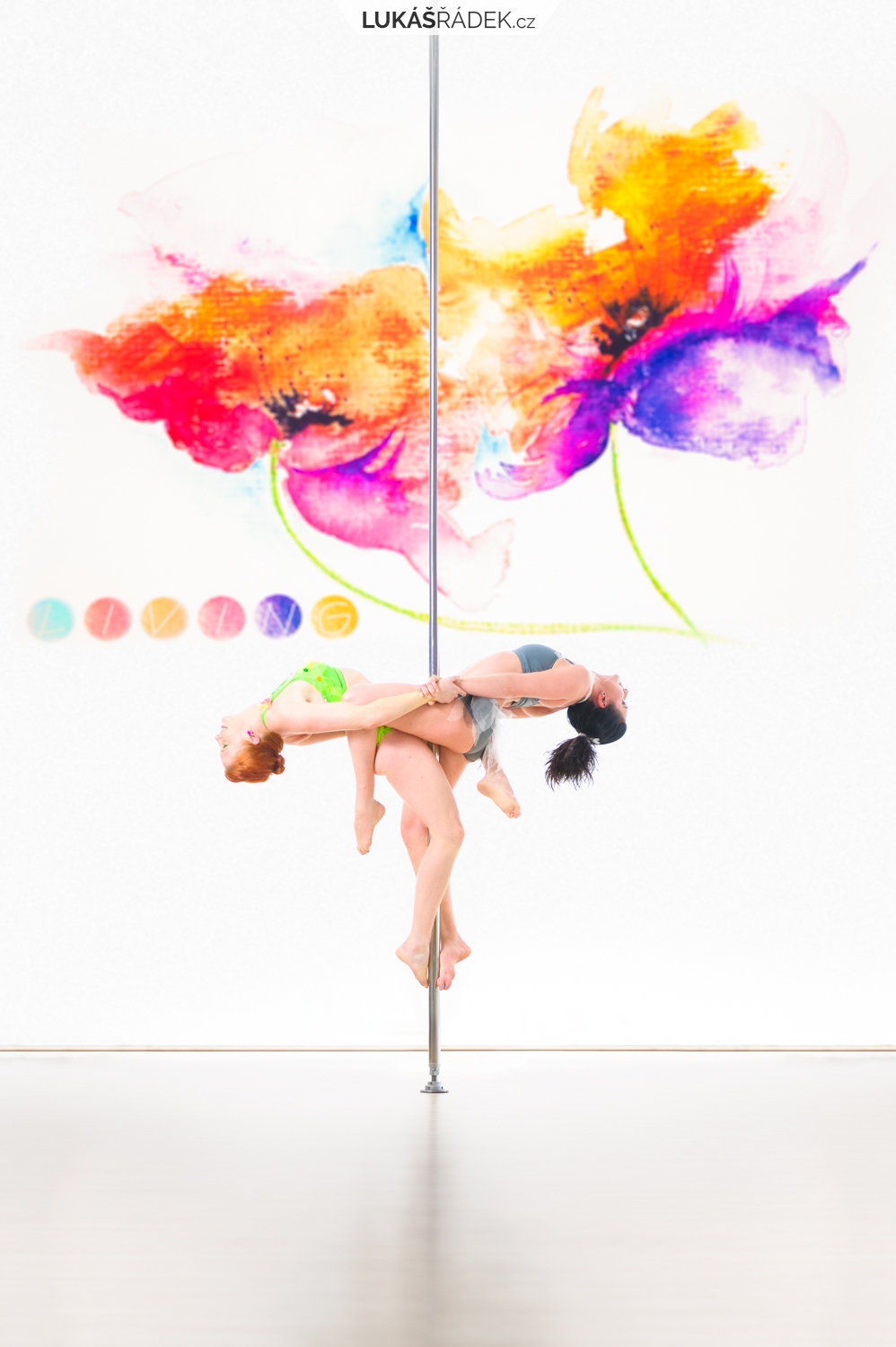 Portrétní fotograf Brno, Vysočina | Pole Dance Blanca Portréty