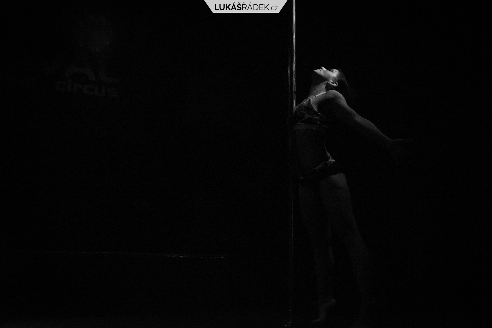 Fotograf umění a sportu Brno, Vysočina | Magic Pole Dance Party